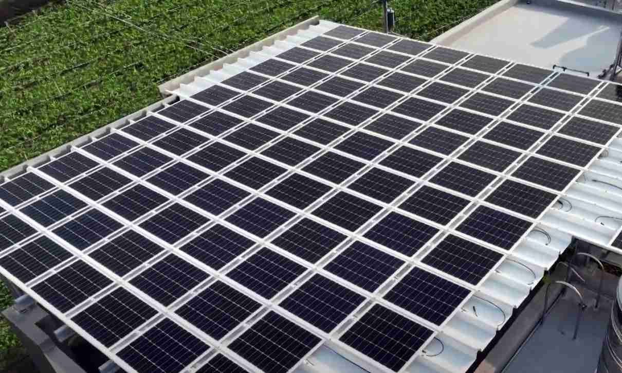 尊龙z6SunSteel光电浪板升级双玻结构，，，以提升机械负载强度及气候耐候度，，可广泛运用于多元场域